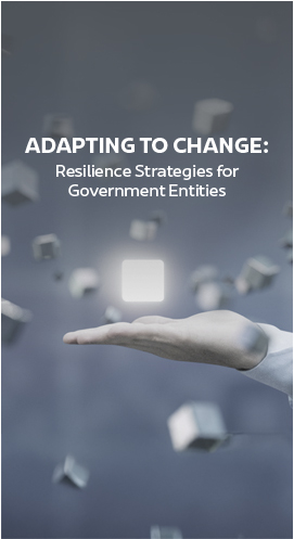 Adapting to Change: Resilience Strategies for Government Entities